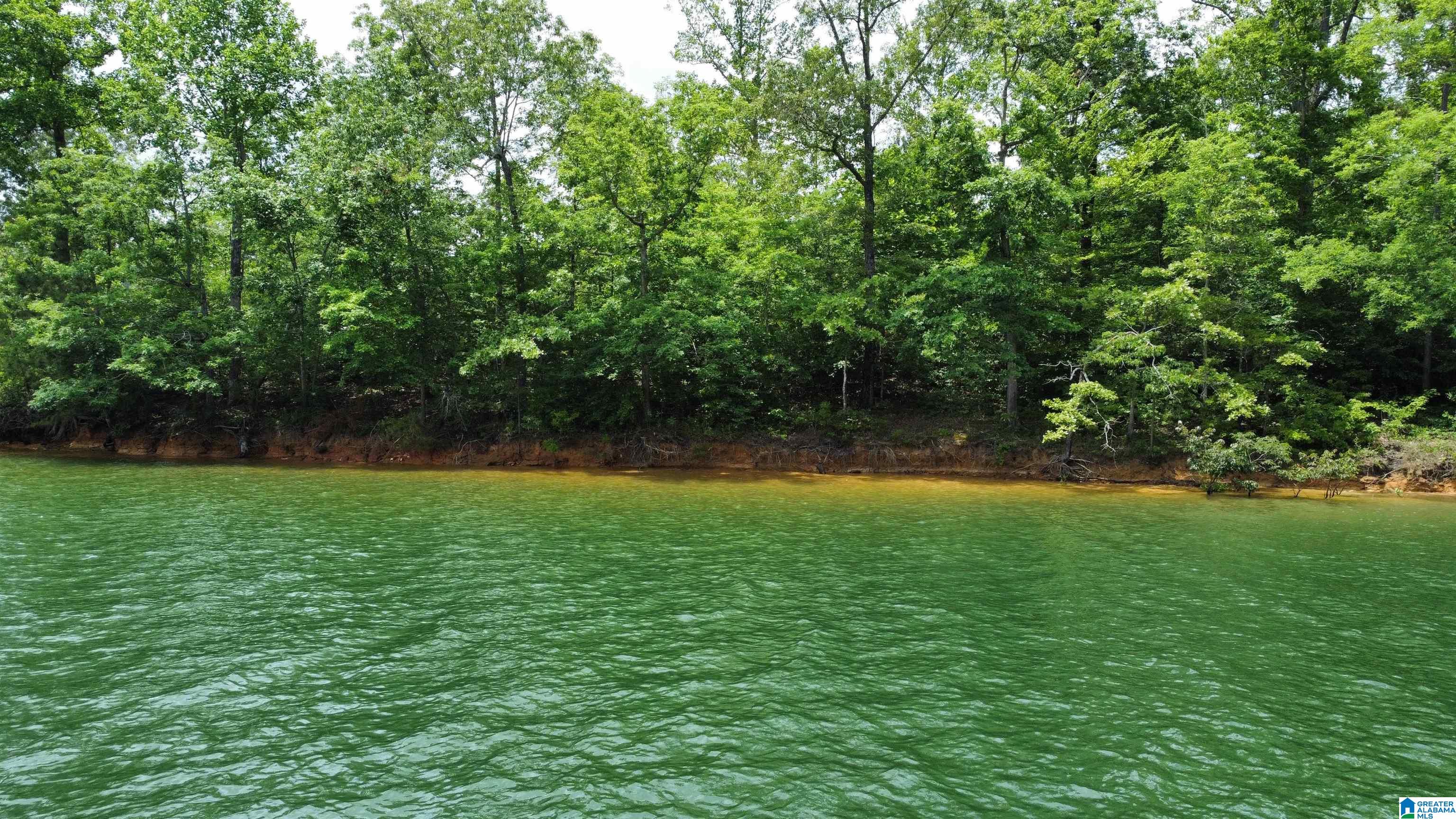 Lot 9 Edgewater Bend Road, Unit 9 Arley, AL 35541 - Photo 1 of 14