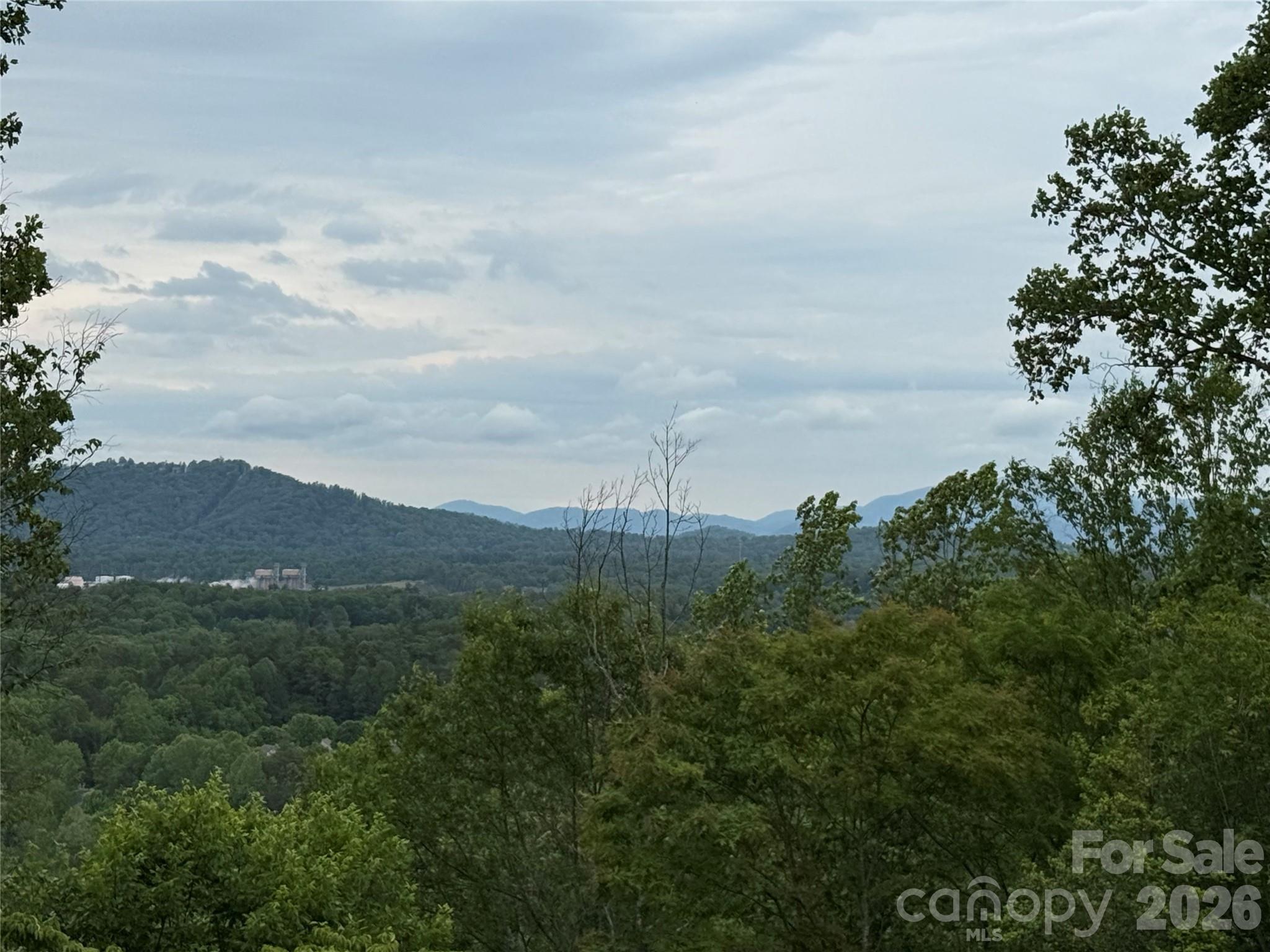 16 Pine Ridge Trail Arden, NC 28704 - Photo 6 of 15 a view of a field with a tree in the background
