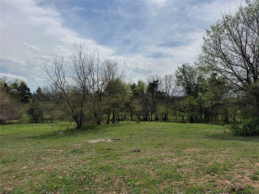 10191 Rally Hill Road Everton, AR 72633 - Photo 25 of 59 View of green lawn