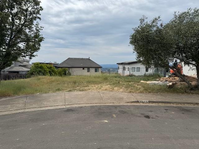 a view of a yard with plants and lake view