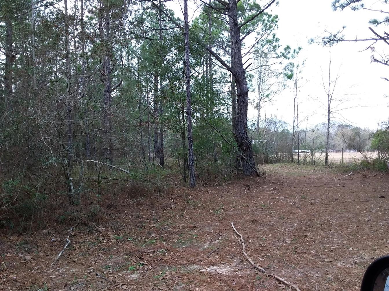 49360 Pimperl Road Bay Minette, AL 36507 - Photo 4 of 8