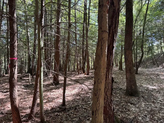 $190,000 | Lot 20-20.3 Lot 20-20.3 Farr Road, Unit LOT 20LOT 20 3 FARR RD AND LOT 11111 BROOK ST, West Chesterfield, NH 03466