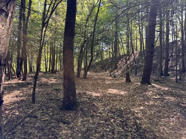 $190,000 | Lot 20-20.3 Lot 20-20.3 Farr Road, Unit LOT 20LOT 20 3 FARR RD AND LOT 11111 BROOK ST, West Chesterfield, NH 03466