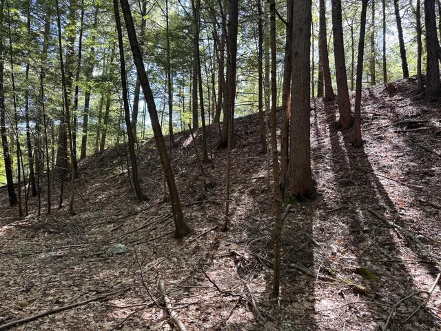 $190,000 | Lot 20-20.3 Lot 20-20.3 Farr Road, Unit LOT 20LOT 20 3 FARR RD AND LOT 11111 BROOK ST, West Chesterfield, NH 03466