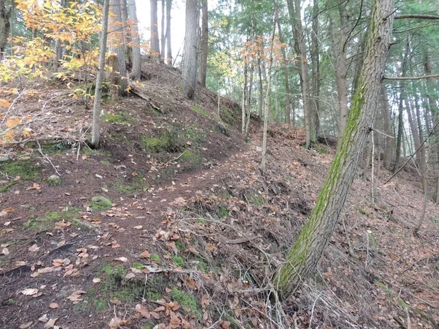 $190,000 | Lot 20-20.3 Lot 20-20.3 Farr Road, Unit LOT 20LOT 20 3 FARR RD AND LOT 11111 BROOK ST, West Chesterfield, NH 03466