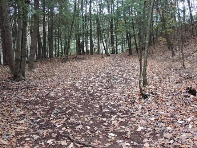 $190,000 | Lot 20-20.3 Lot 20-20.3 Farr Road, Unit LOT 20LOT 20 3 FARR RD AND LOT 11111 BROOK ST, West Chesterfield, NH 03466