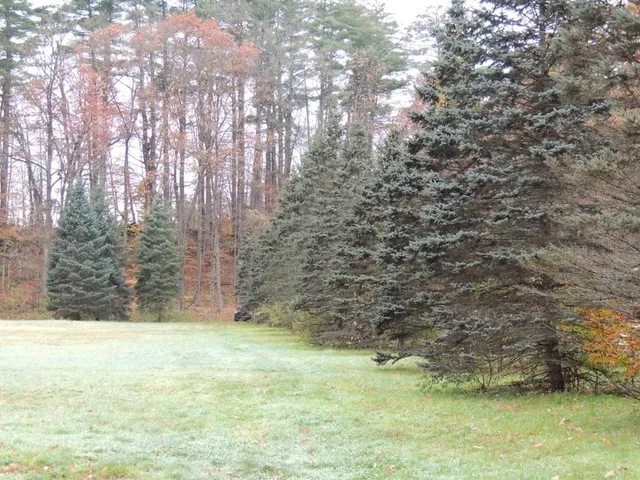 $190,000 | Lot 20-20.3 Lot 20-20.3 Farr Road, Unit LOT 20LOT 20 3 FARR RD AND LOT 11111 BROOK ST, West Chesterfield, NH 03466