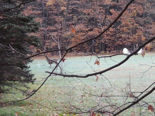 $190,000 | Lot 20-20.3 Lot 20-20.3 Farr Road, Unit LOT 20LOT 20 3 FARR RD AND LOT 11111 BROOK ST, West Chesterfield, NH 03466