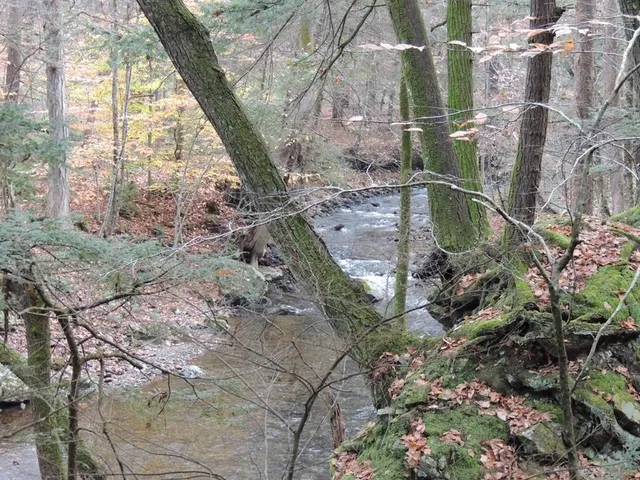 $190,000 | Lot 20-20.3 Lot 20-20.3 Farr Road, Unit LOT 20LOT 20 3 FARR RD AND LOT 11111 BROOK ST, West Chesterfield, NH 03466