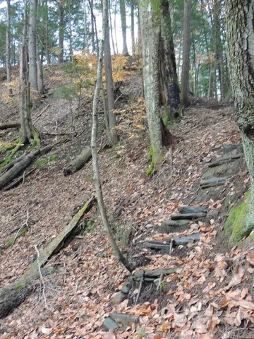 $190,000 | Lot 20-20.3 Lot 20-20.3 Farr Road, Unit LOT 20LOT 20 3 FARR RD AND LOT 11111 BROOK ST, West Chesterfield, NH 03466