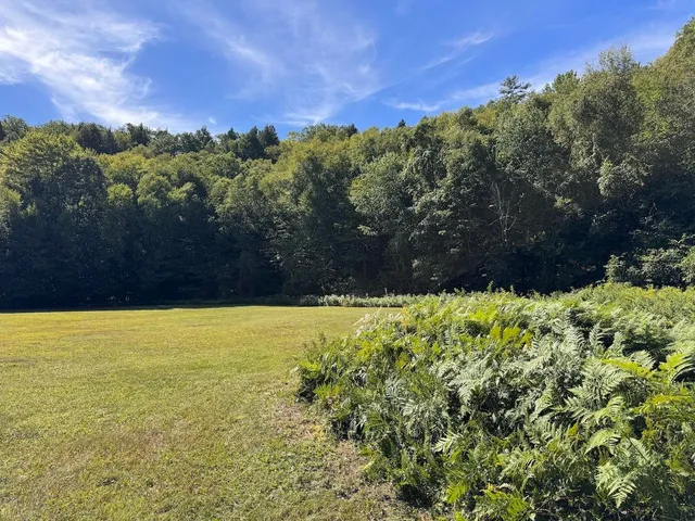 $190,000 | Lot 20-20.3 Lot 20-20.3 Farr Road, Unit LOT 20LOT 20 3 FARR RD AND LOT 11111 BROOK ST, West Chesterfield, NH 03466
