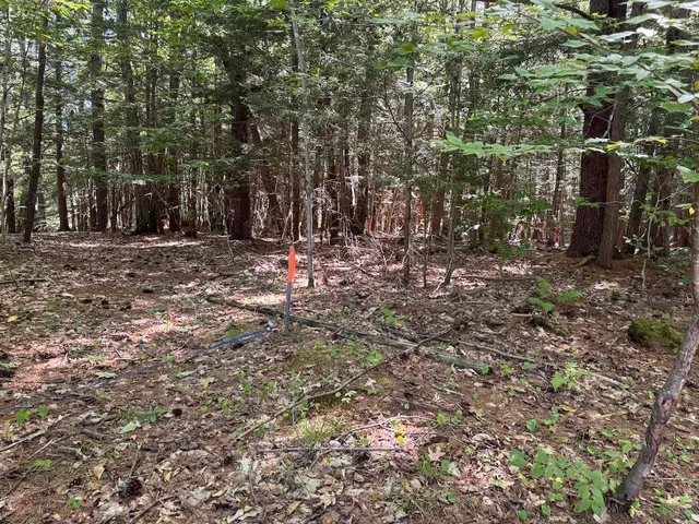 $190,000 | Lot 20-20.3 Lot 20-20.3 Farr Road, Unit LOT 20LOT 20 3 FARR RD AND LOT 11111 BROOK ST, West Chesterfield, NH 03466