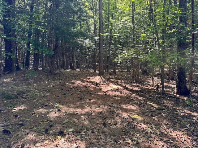 $190,000 | Lot 20-20.3 Lot 20-20.3 Farr Road, Unit LOT 20LOT 20 3 FARR RD AND LOT 11111 BROOK ST, West Chesterfield, NH 03466