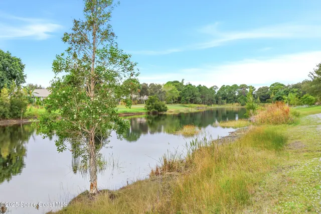 a view of a lake with houses in the background