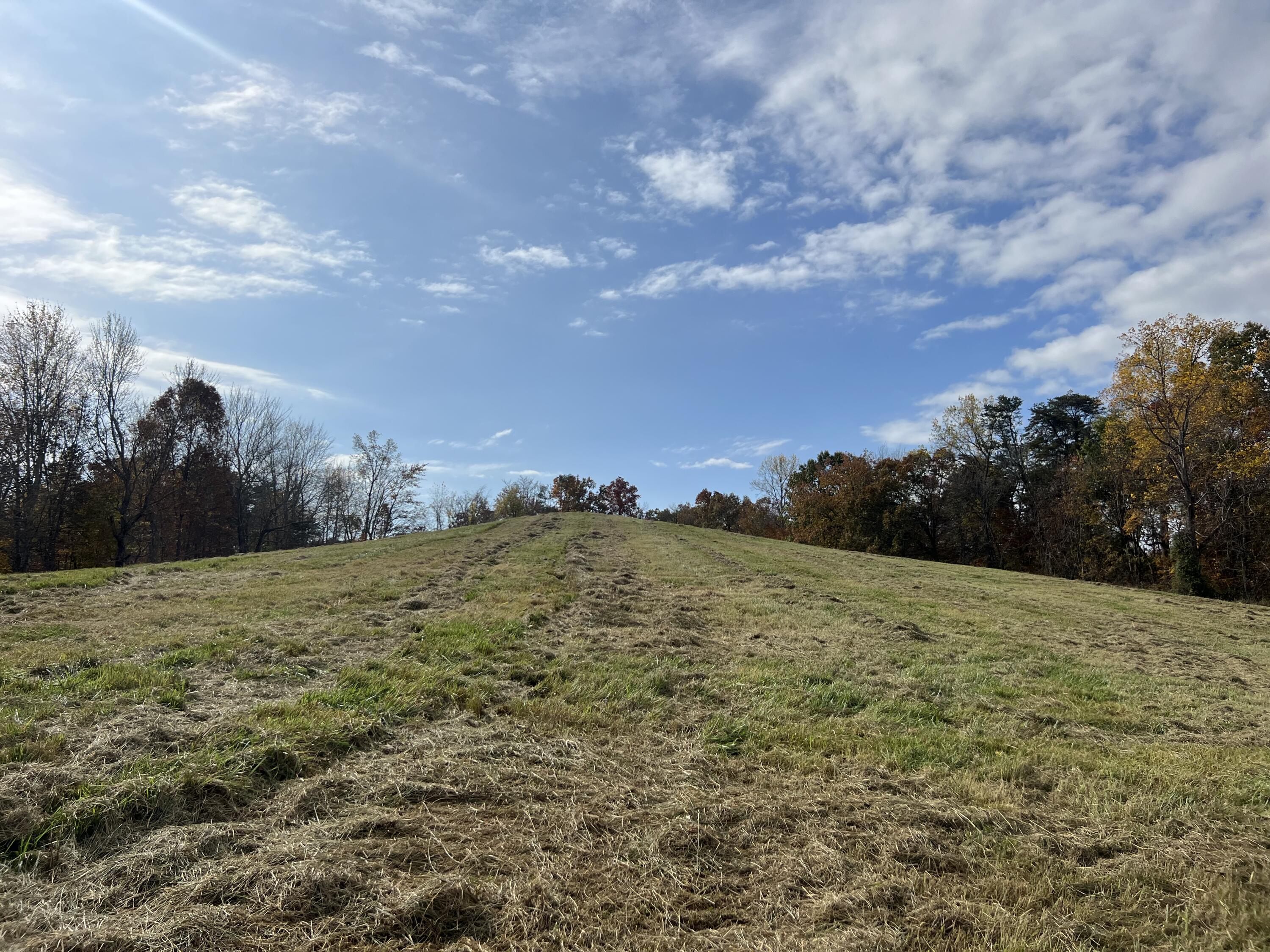 274 Farmers Road London, KY 40744 - Photo 5 of 17 D18349C9-CB8D-4494-9178-0C82B44E77EF