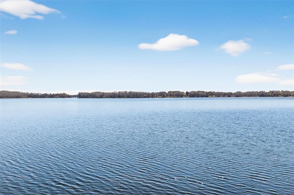115 Hunting Lodge Drive Inverness, FL 34453 - Photo 6 of 59