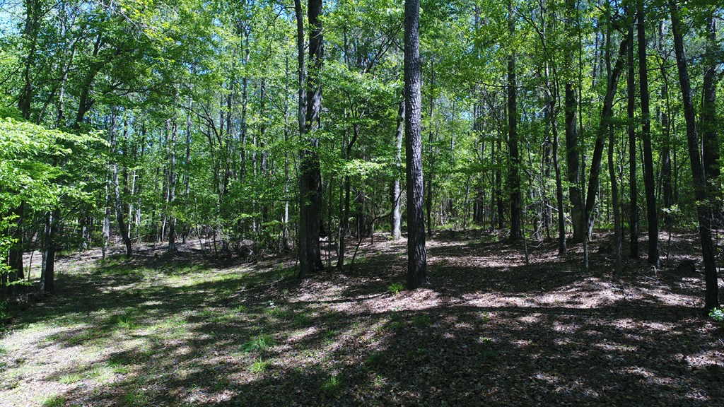8935 M Moore Road Columbus, GA 31904 - Photo 43 of 46 Gallery Image 43