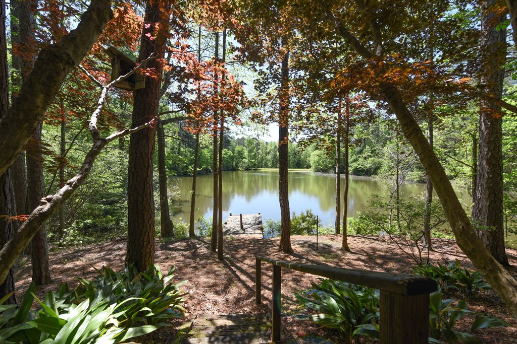 Fishing Dock that is just steps from the backdoor 