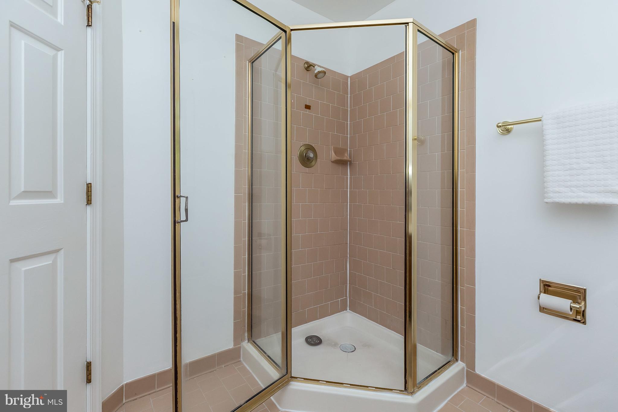 9102 Naygall Road Baltimore, MD 21234 - Photo 22 of 30 Bath (Master)