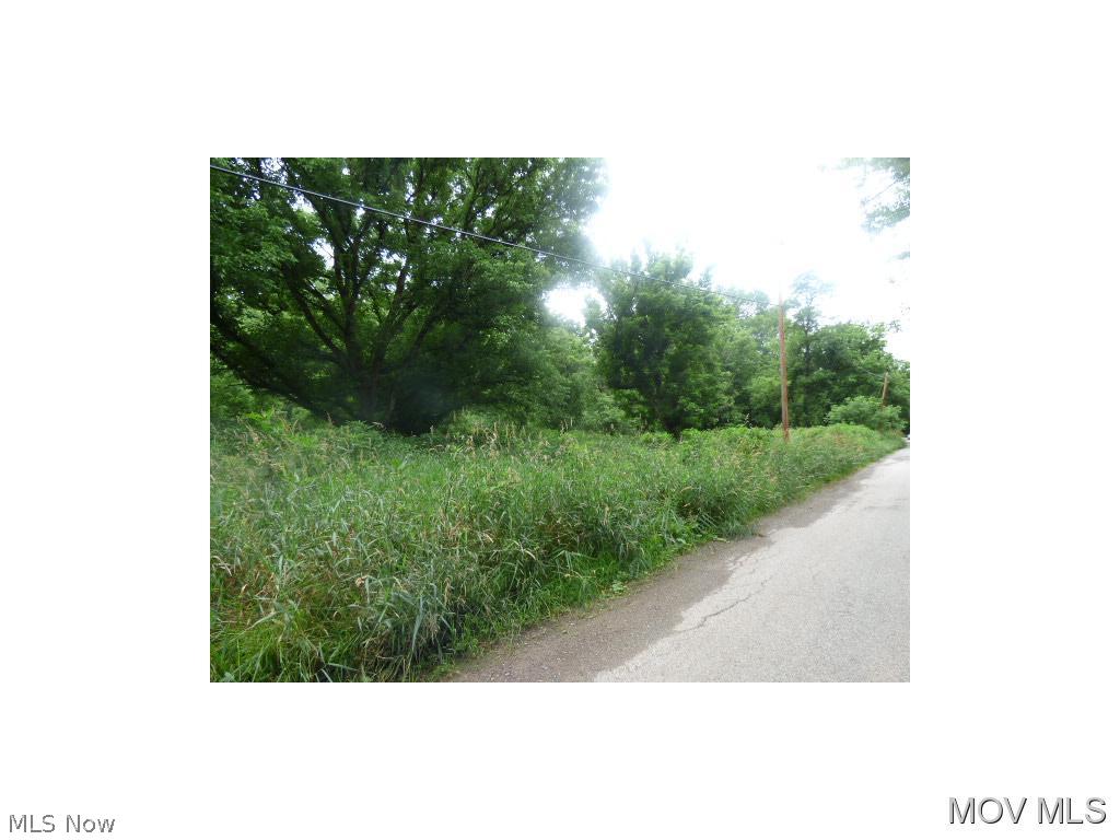 0 Silver Run Road Cairo, WV 26337 - Photo 4 of 5
