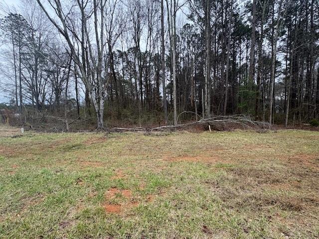 0 Brown Bridge Road Covington, GA 30016 - Photo 2 of 7 a backyard of a house with lots of green space