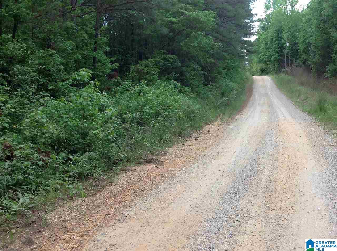 0 County Road 697 Muscadine, AL 36269 - Photo 3 of 8