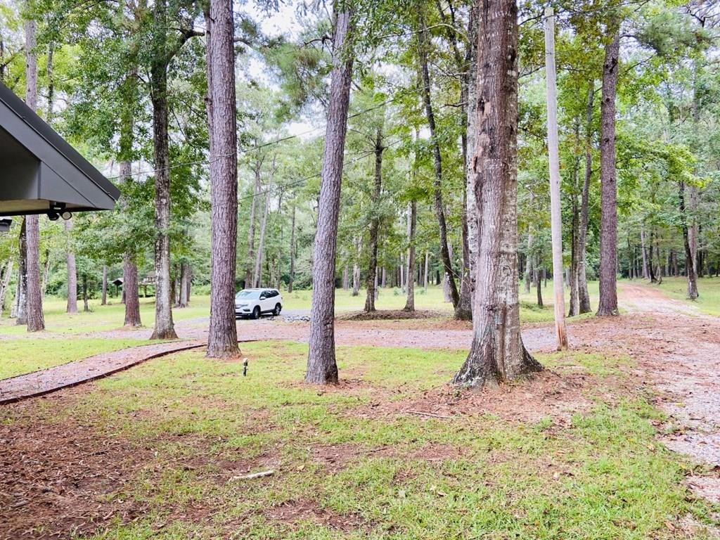 190 Albert Prince Road Carriere, MS 39426 - Photo 24 of 24 Gallery Image 24