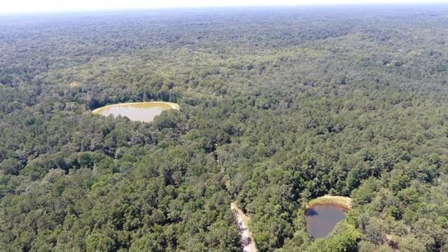 190 Albert Prince Road Carriere, MS 39426 - Photo 3 of 24 Gallery Image 3