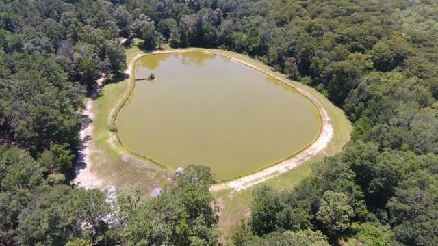 190 Albert Prince Road Carriere, MS 39426 - Photo 4 of 24 Gallery Image 4