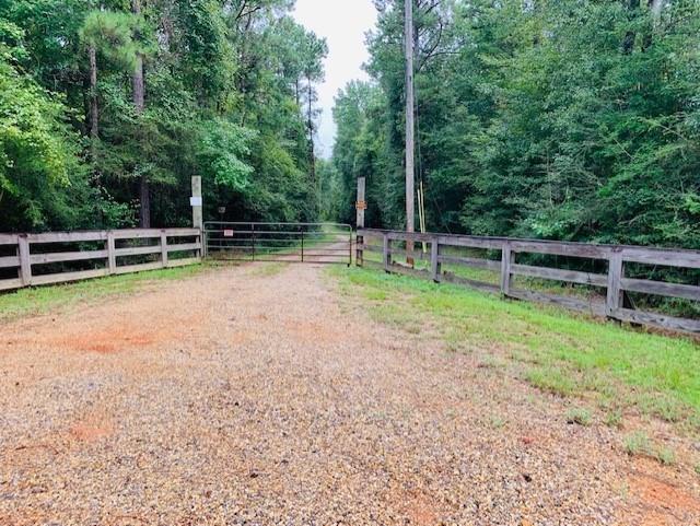 190 Albert Prince Road Carriere, MS 39426 - Photo 7 of 24 Gallery Image 7