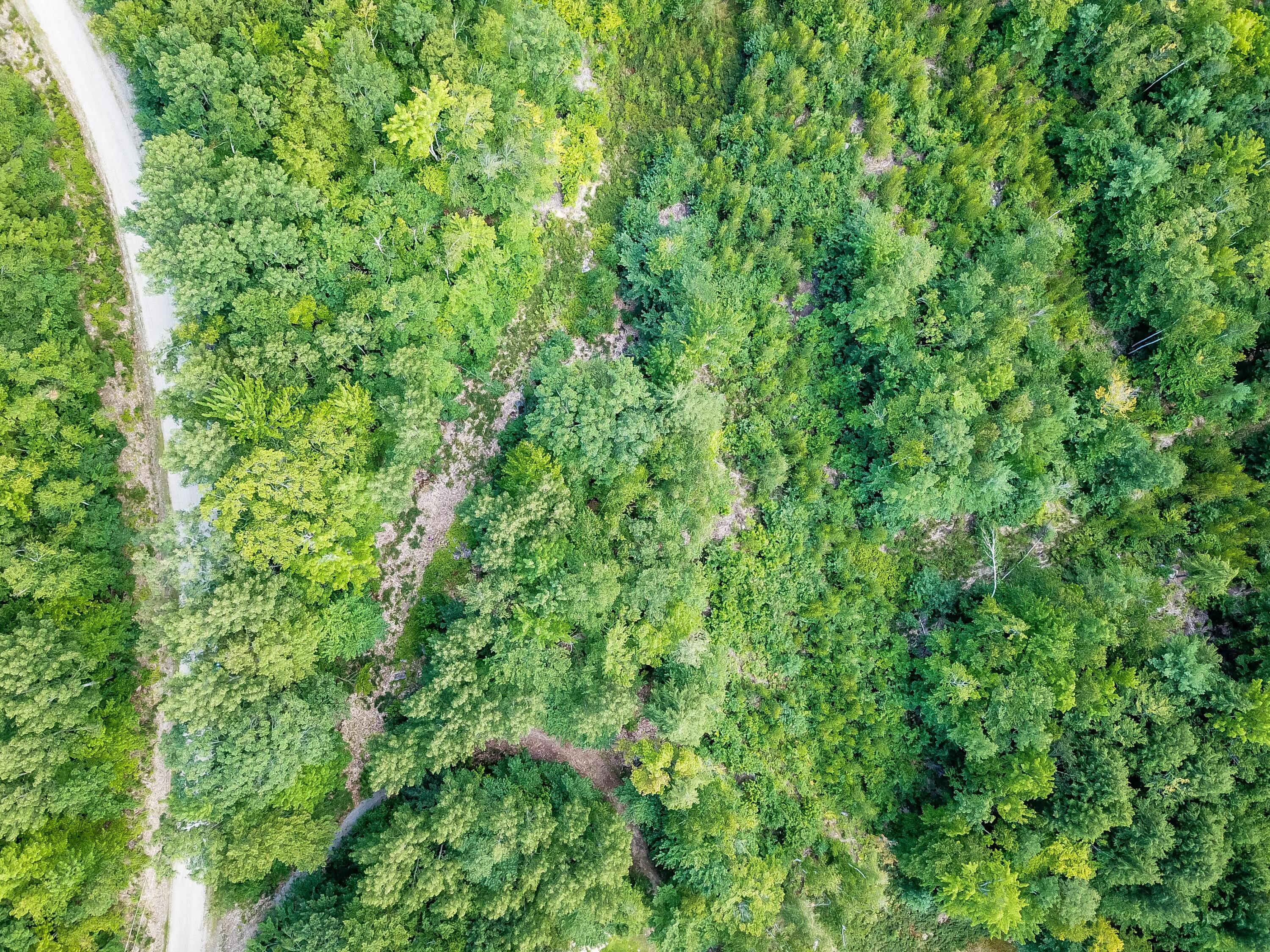 37 Loop Road Fryeburg, ME 04037 - Photo 1 of 9 DJI_0042