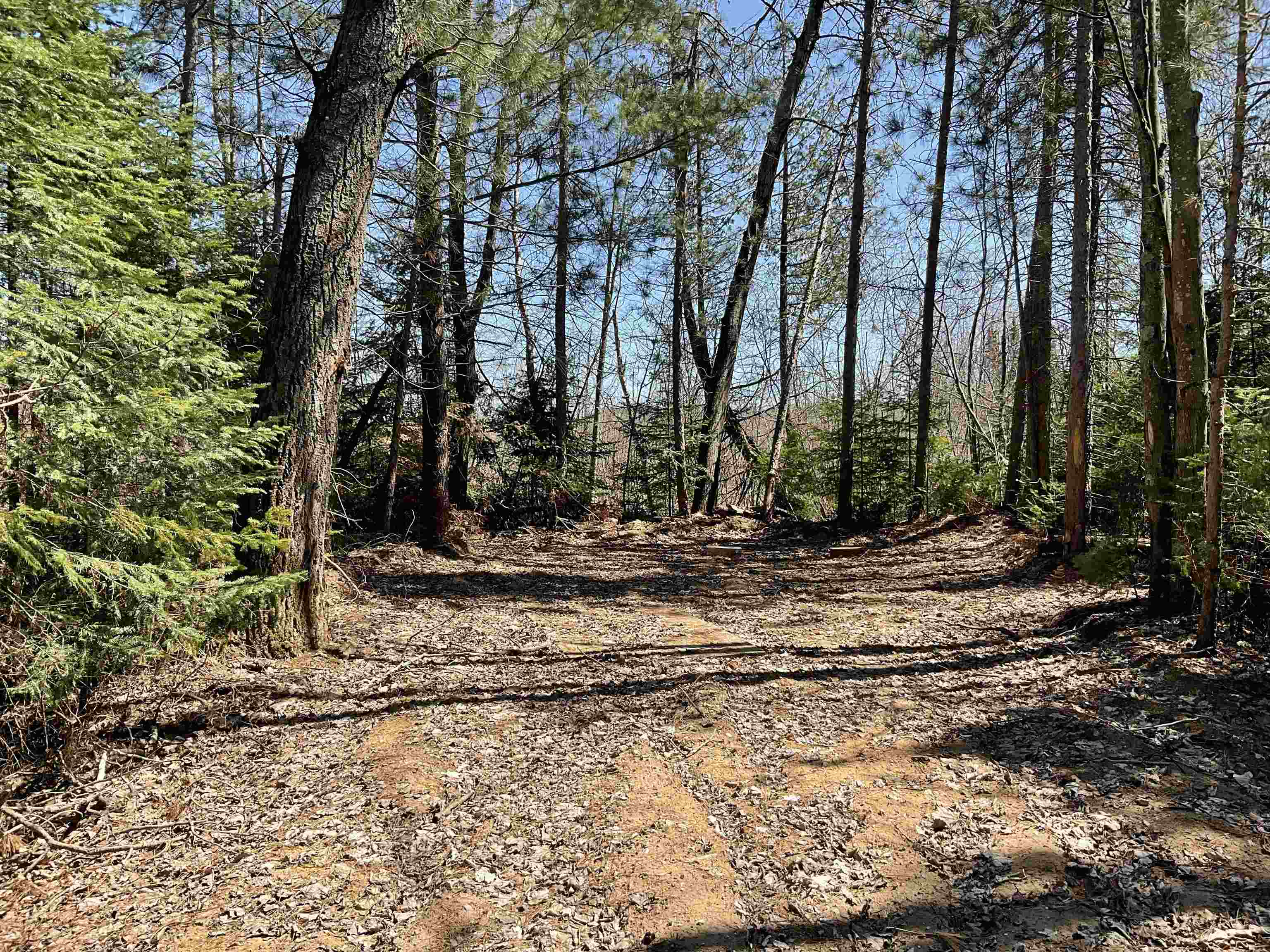 3435 Cool Road Southeast Kalkaska, MI 49646 - Photo 7 of 18