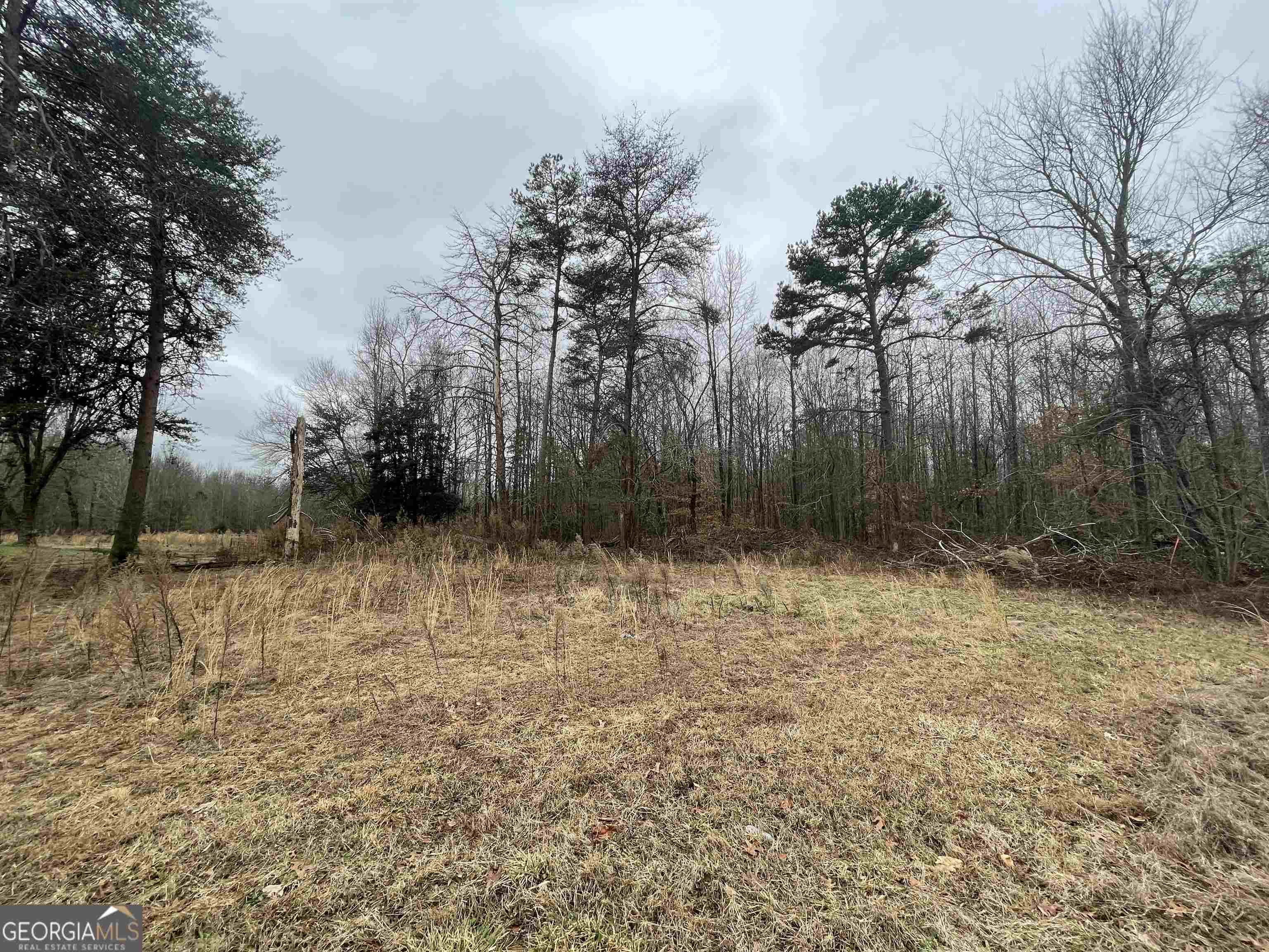 0 Holiness Campground Road Cleveland, GA 30528 - Photo 4 of 13