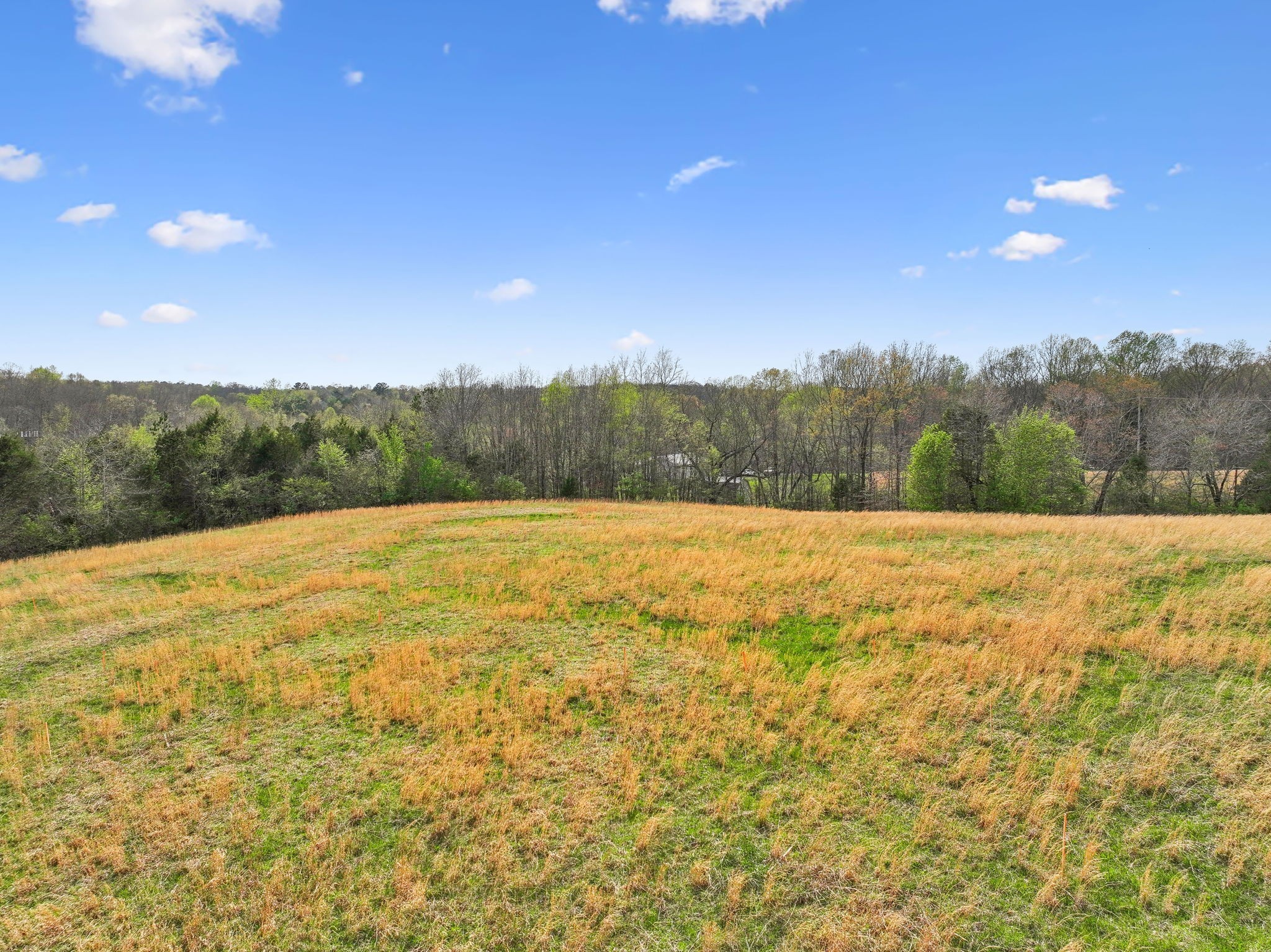0 Liberty Road Fairview, TN 37062 - Photo 2 of 13 a view of an outdoor space and a yard