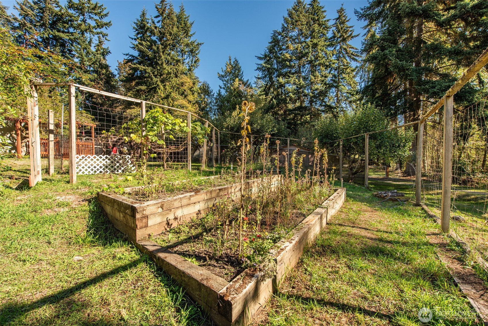 754 Gasman Road Port Angeles, WA 98362 - Photo 36 of 40 Gallery Image 36