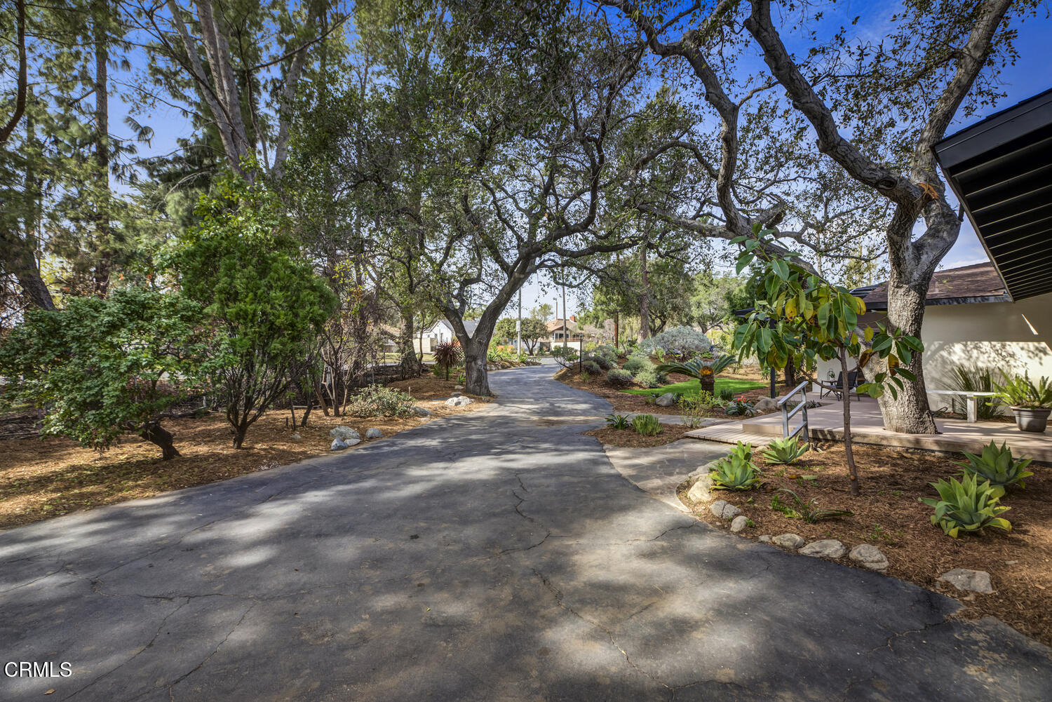 1780 North Altadena Drive Pasadena, CA 91107 - Photo 32 of 34 a view of park with large trees