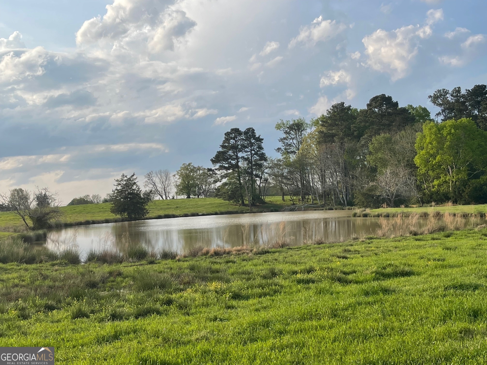 0 Elberton Road Lincolnton, GA 30668 - Photo 1 of 1