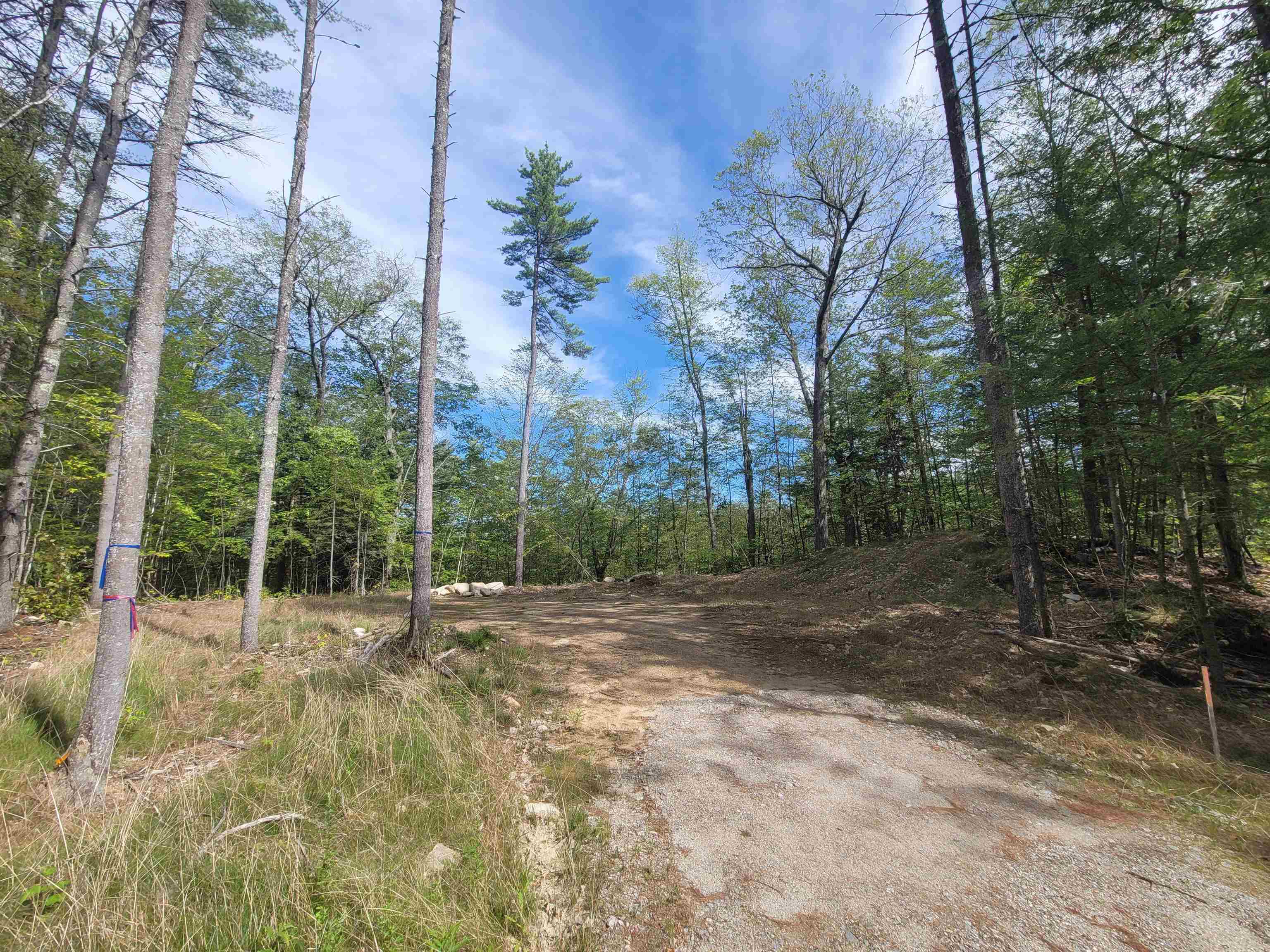 0 Altitude Overlook Overlook, Unit 59 Conway, NH 03818 - Photo 7 of 10