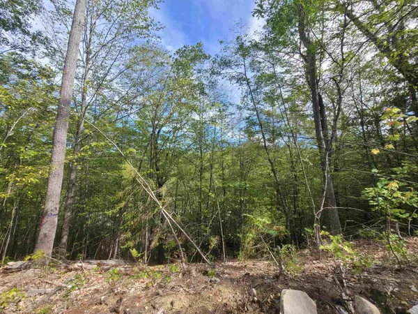 $205,000 | 0 Altitude Overlook Overlook, Unit 59, Conway, NH 03818