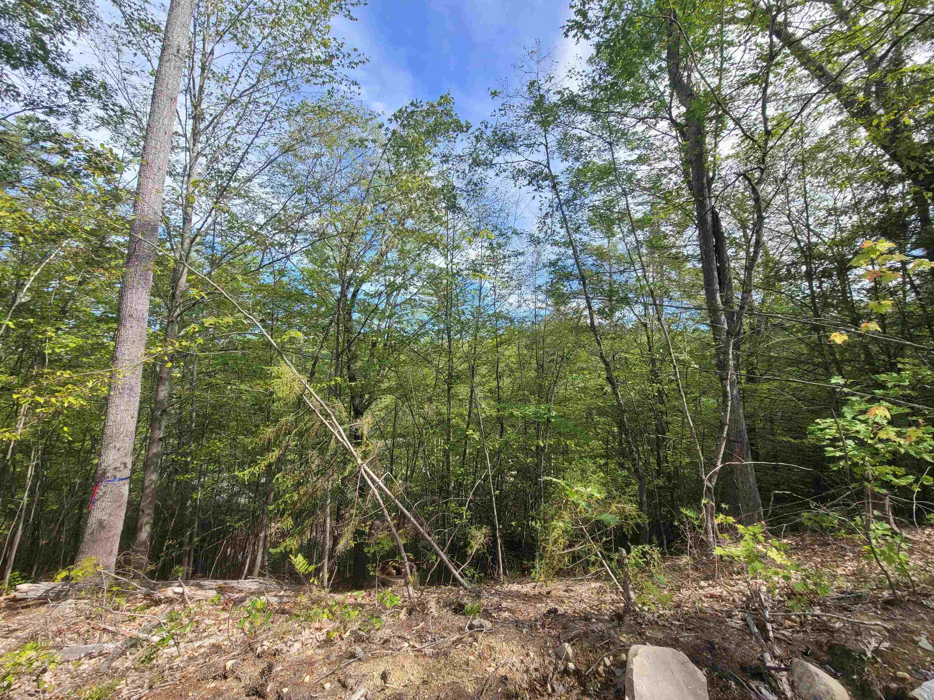 0 Altitude Overlook Overlook, Unit 59 Conway, NH 03818 - Photo 8 of 10
