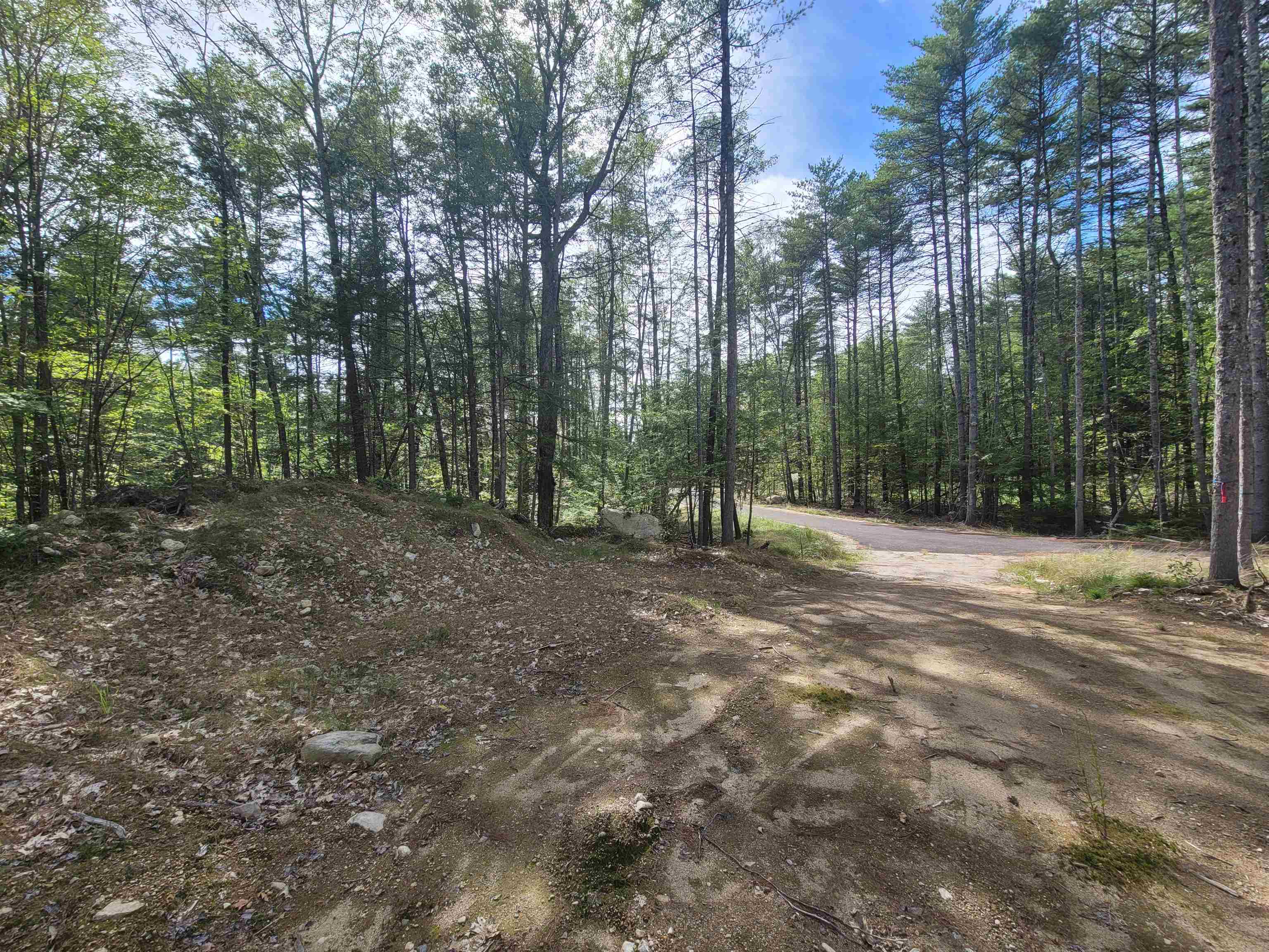 0 Altitude Overlook Overlook, Unit 59 Conway, NH 03818 - Photo 9 of 10