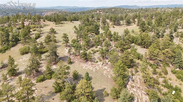 324 Pike View Road Florissant, CO 80816 - Photo 23 of 23