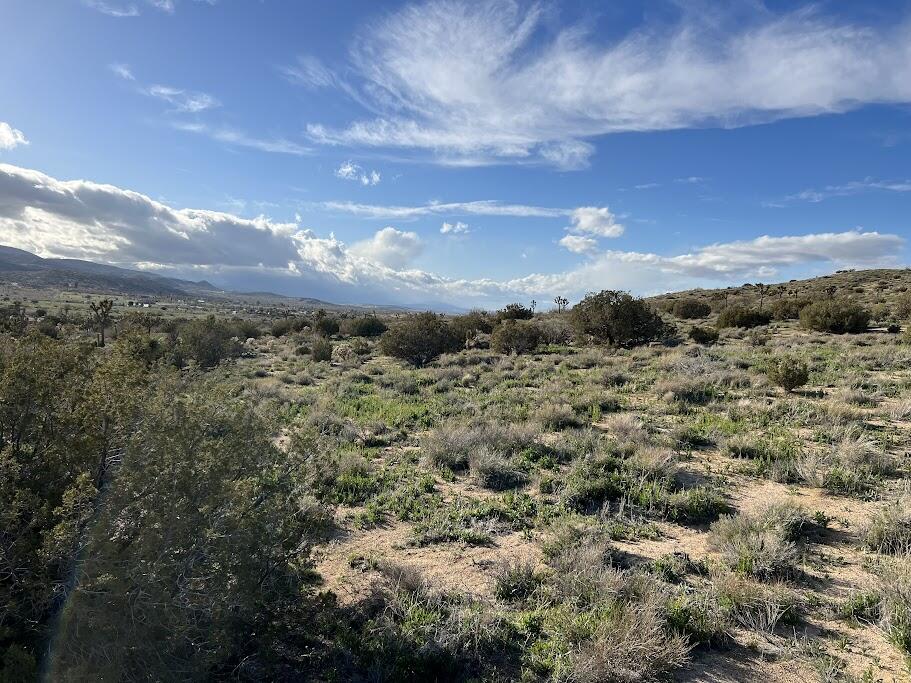0 Fort Tejon Road Pearblossom, CA 93553 - Photo 9 of 24 fort tejon lot 9