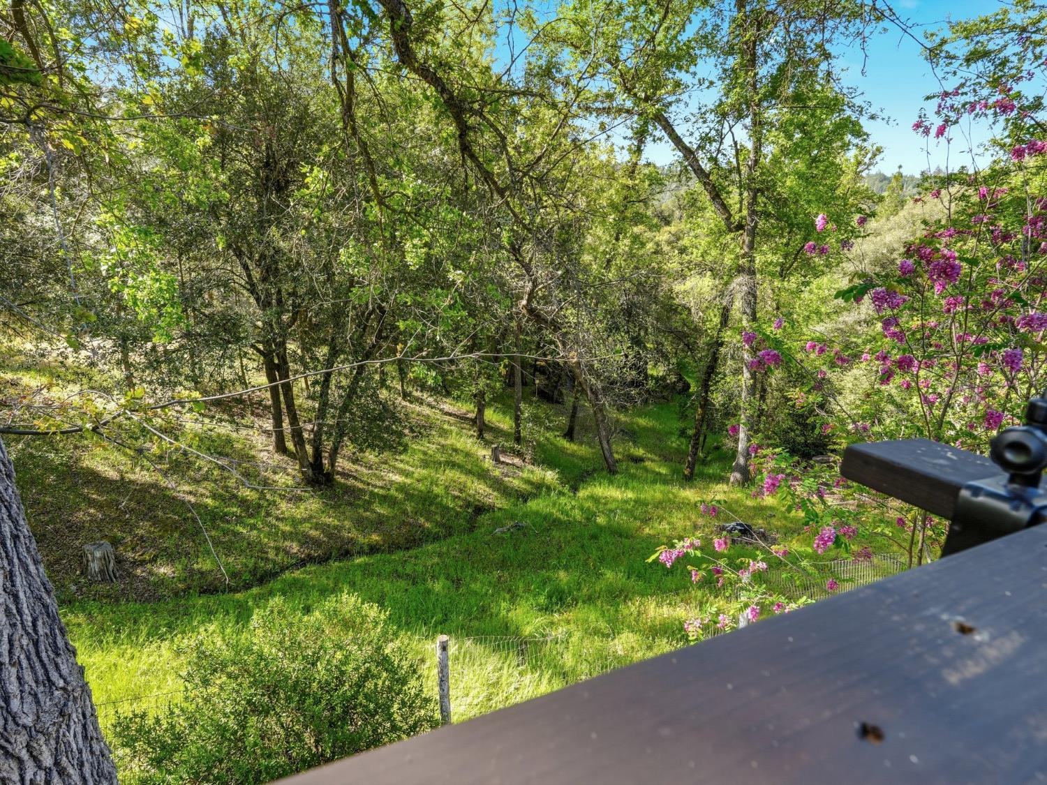37927 China Creek Road Oakhurst, CA 93644 - Photo 35 of 38