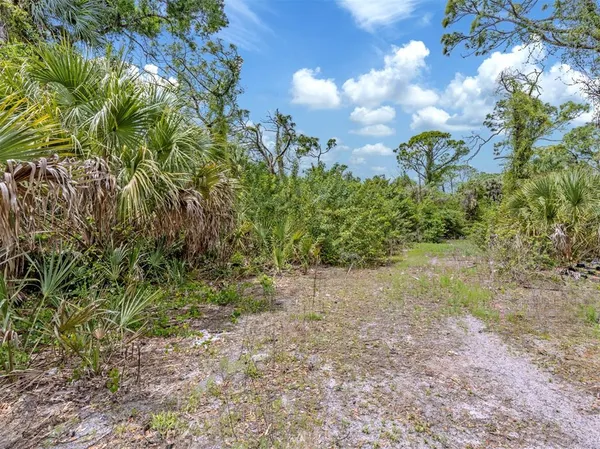 a view of a yard with large trees
