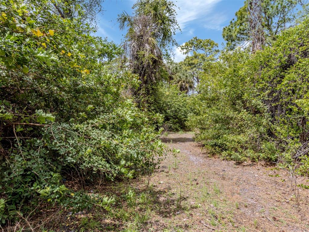 400 South Havana Road Venice, FL 34292 - Photo 19 of 59