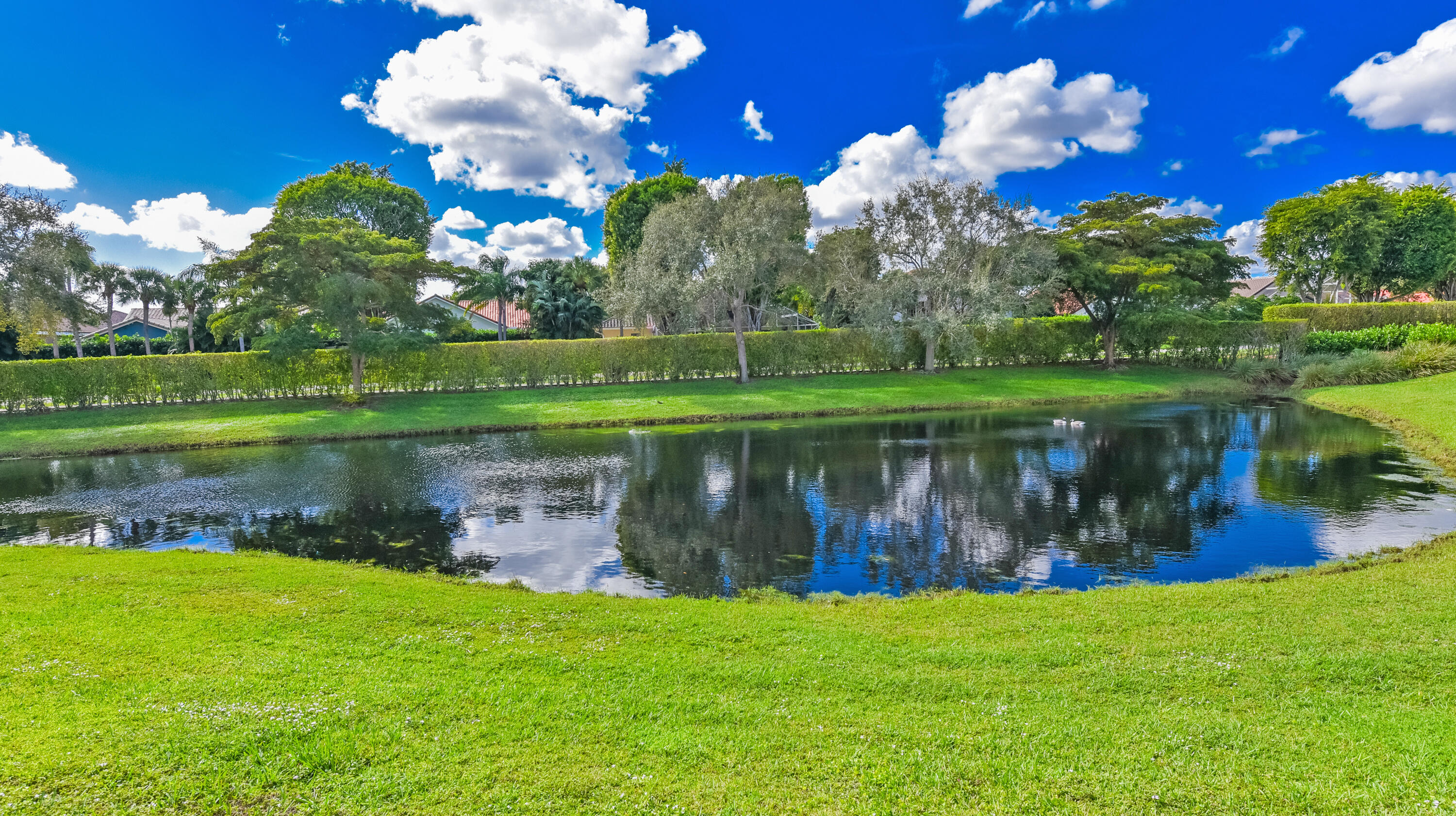 23325 Drayton Drive Boca Raton, FL 33433 - Photo 15 of 44 a view of a lake and a yard