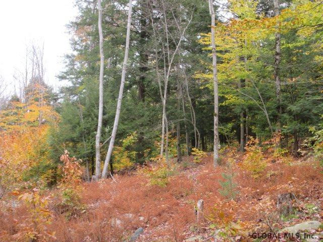 1244 Plank Road Poestenkill, NY 12138 - Photo 19 of 20 Photo 19