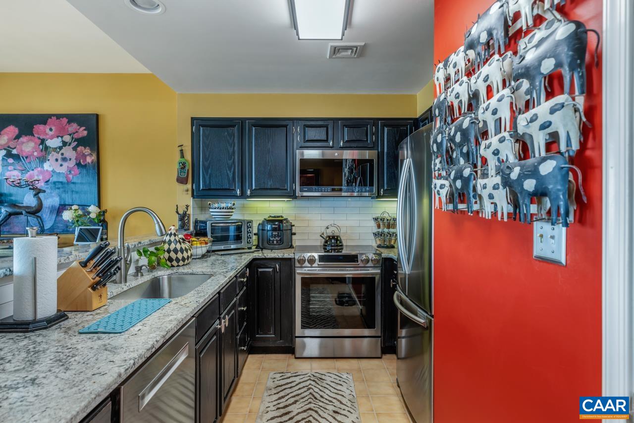 1707 High Ridge Wintergreen, VA 22967 - Photo 14 of 50 a kitchen with stainless steel appliances granite countertop a stove a sink and a microwave