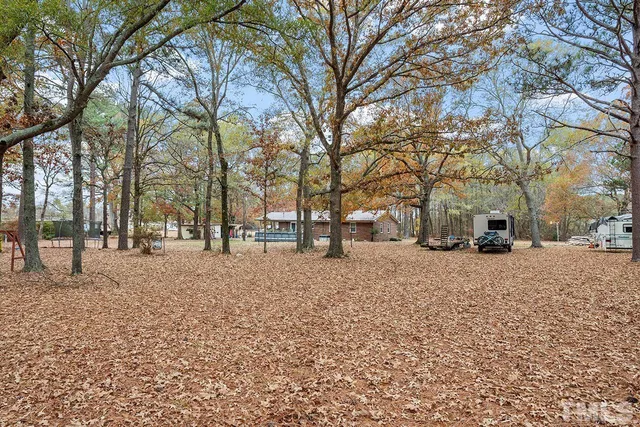 a street view with large trees